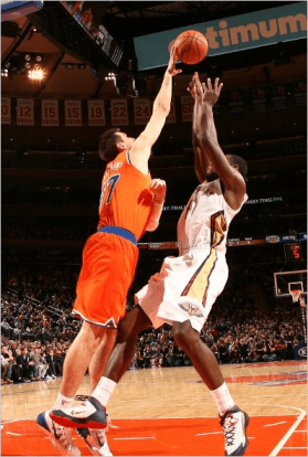 Bargnani_block